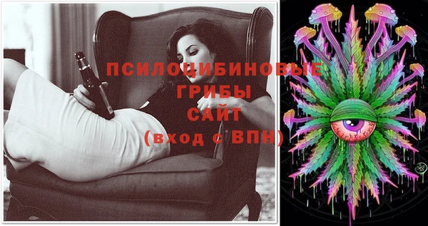 apvp Кинешма