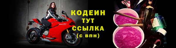 амф Козельск