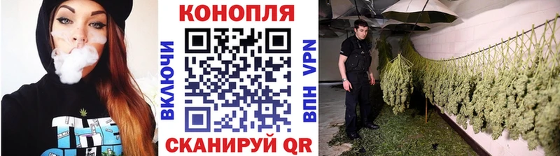 Купить закладки  Лакинск  Конопля AK-47 